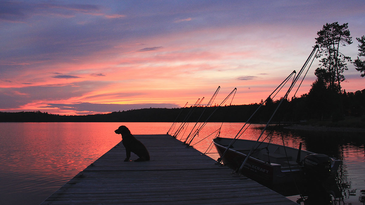 Réserve Beauchêne Wilderness lodge