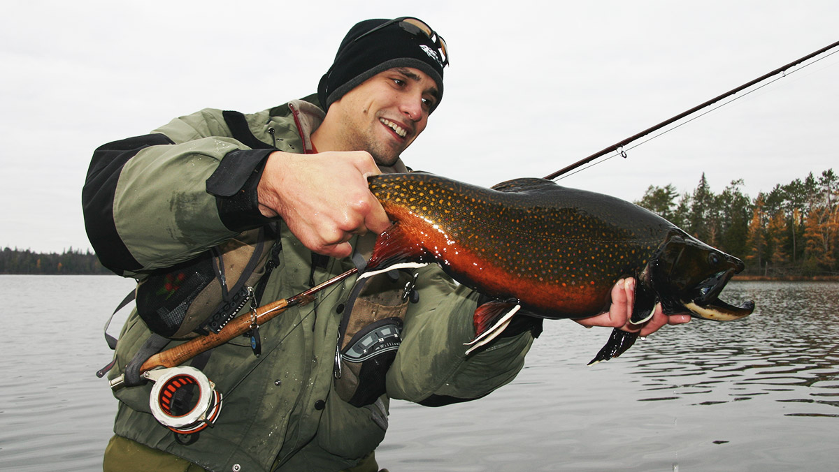 Galerie Réserve Beauchene